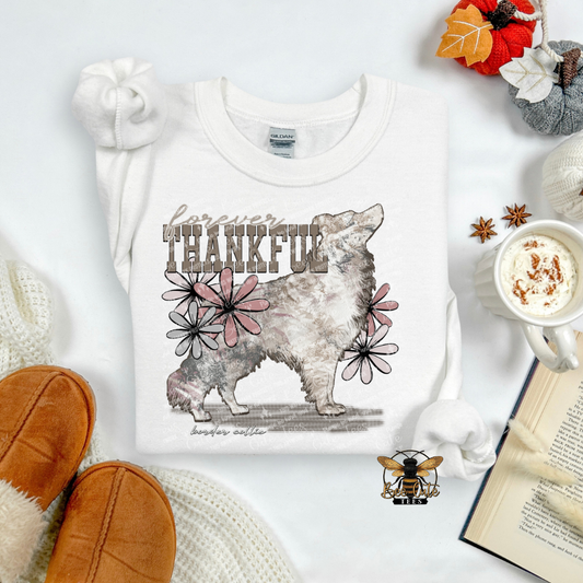Forever Thankful Border Collie