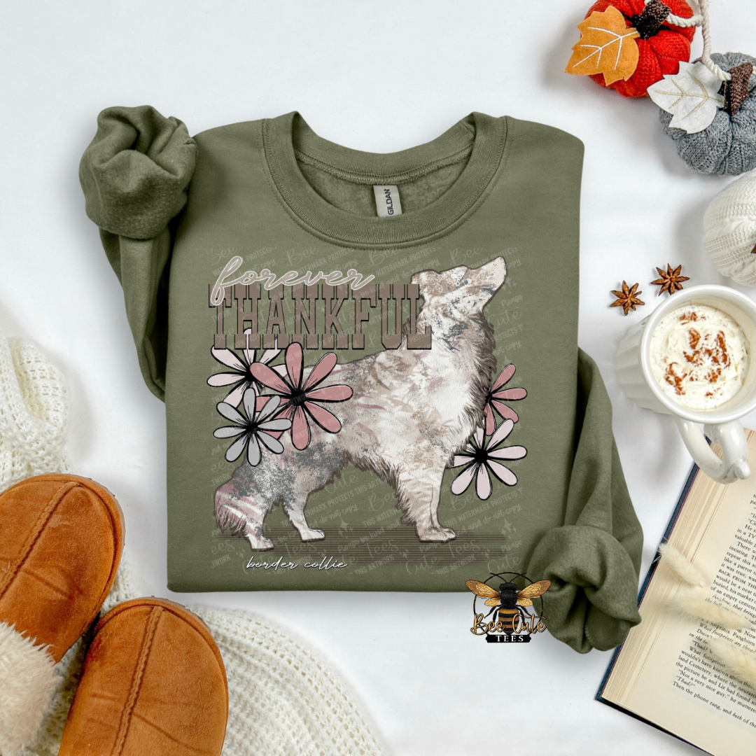 Forever Thankful Border Collie