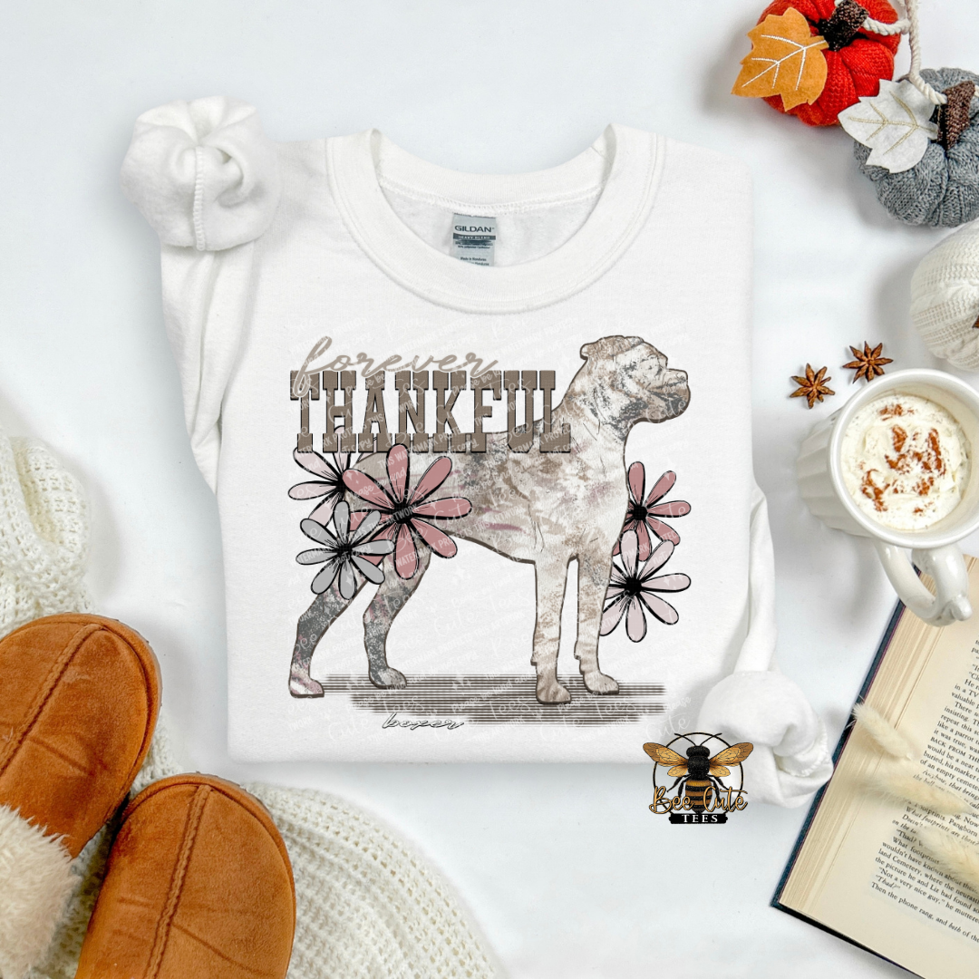 Forever Thankful Boxer