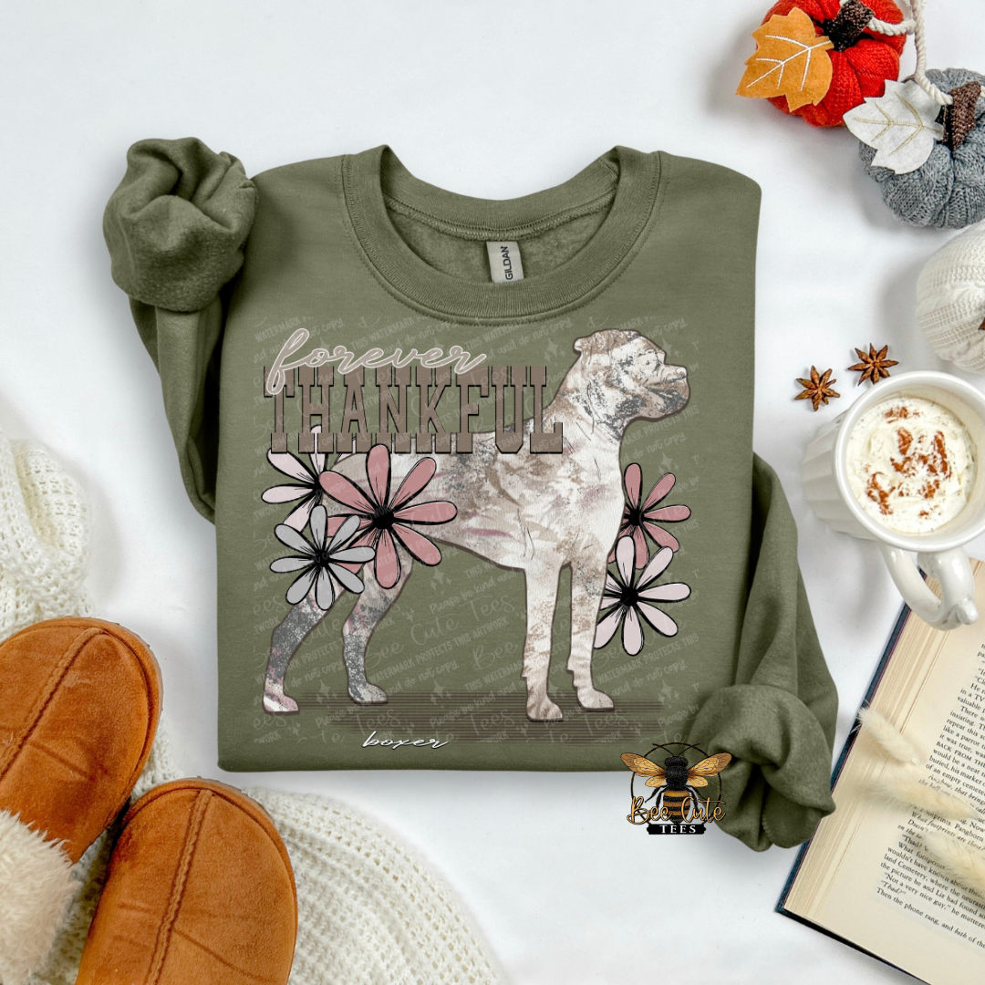 Forever Thankful Boxer