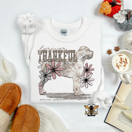 Forever Thankful Cane Corso