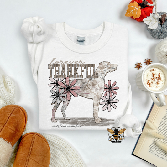 Forever Thankful Catahoula