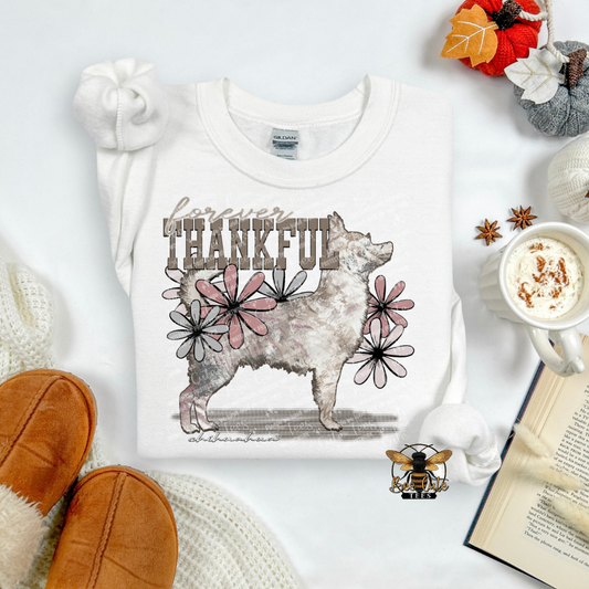 Forever Thankful Chihuahua