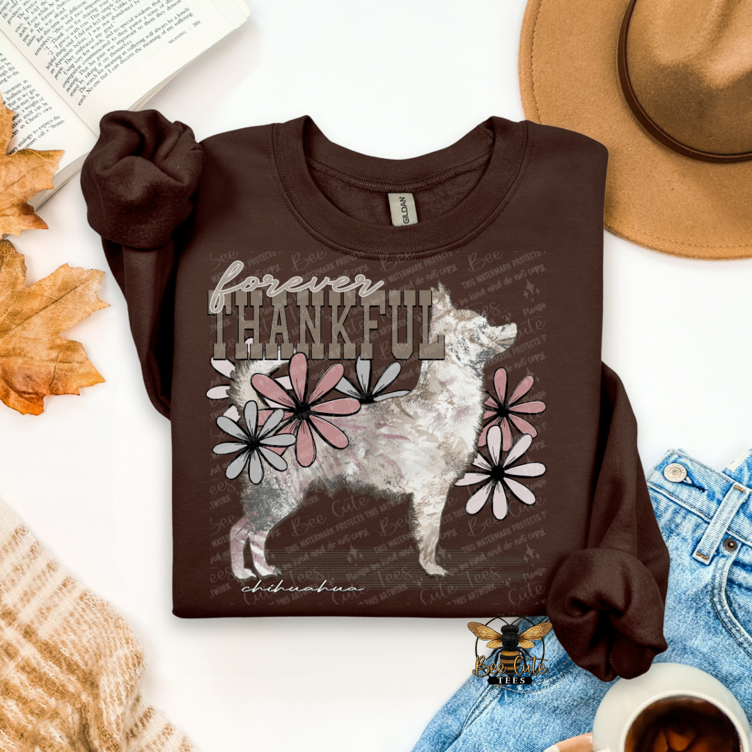 Forever Thankful Chihuahua