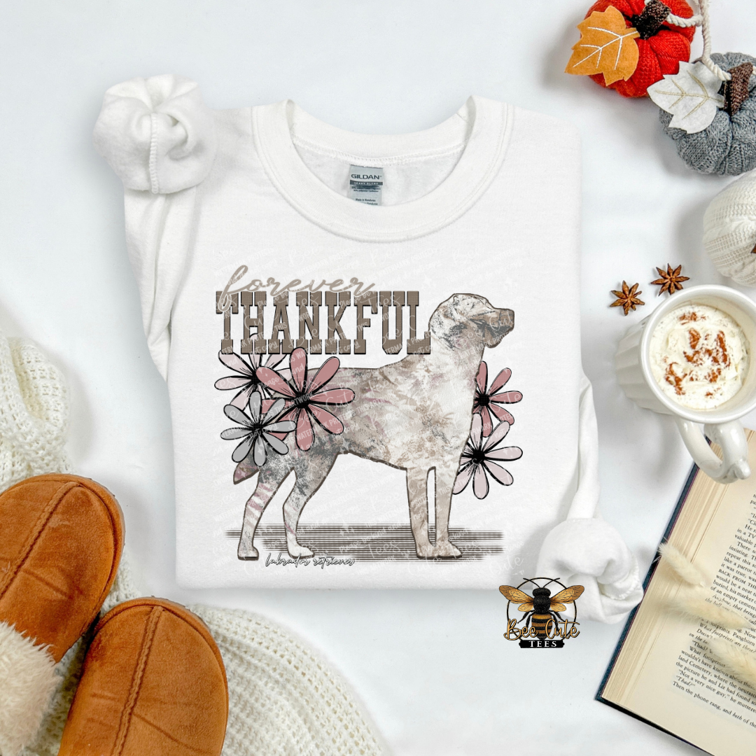Forever Thankful Labrador Retriever