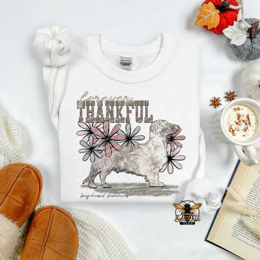 Forever Thankful Long Haired Dachshund