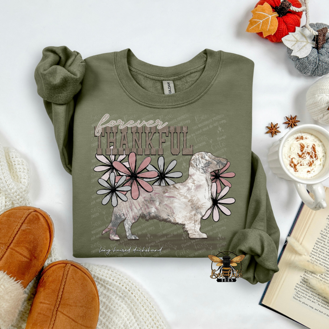 Forever Thankful Long Haired Dachshund