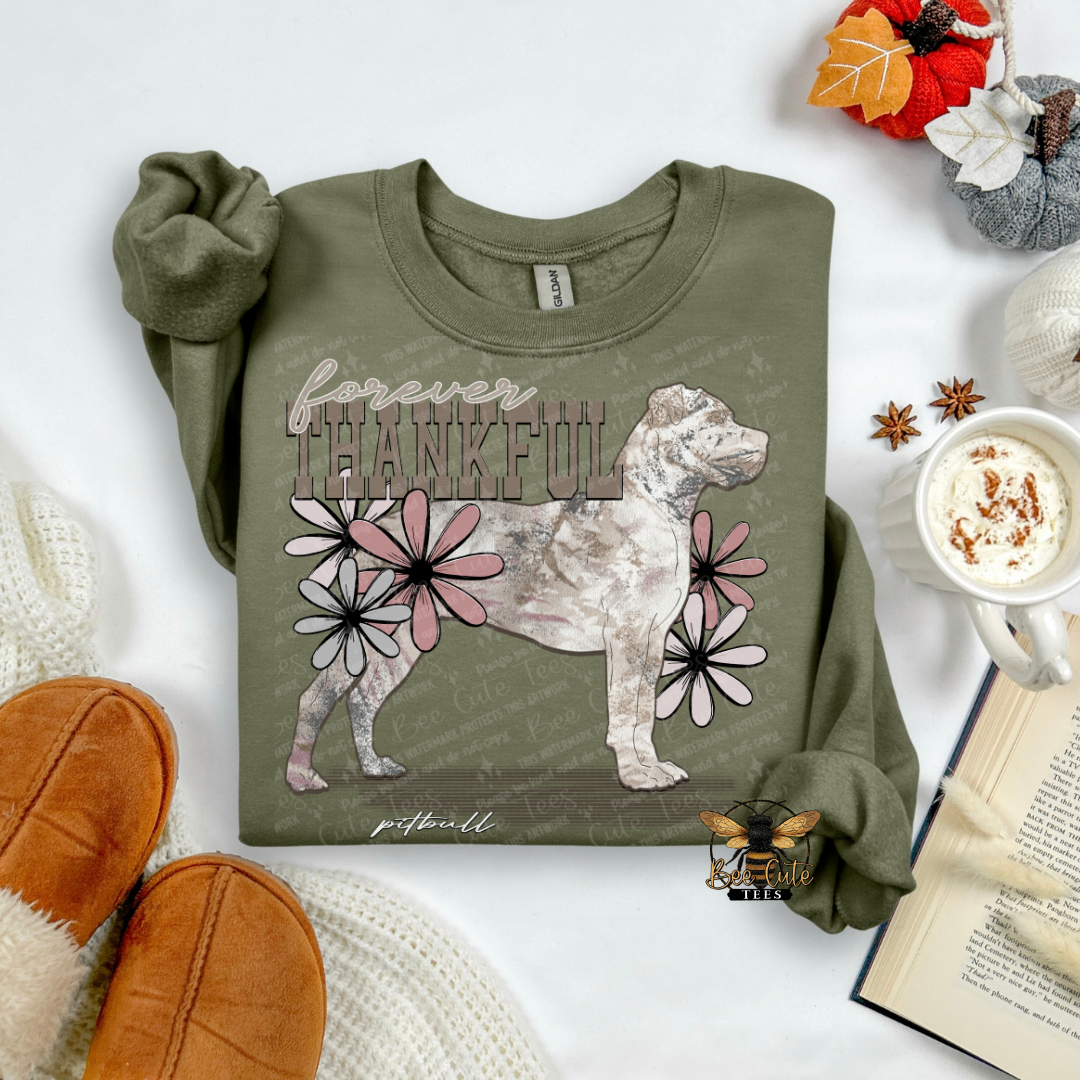 Forever Thankful Pitbull