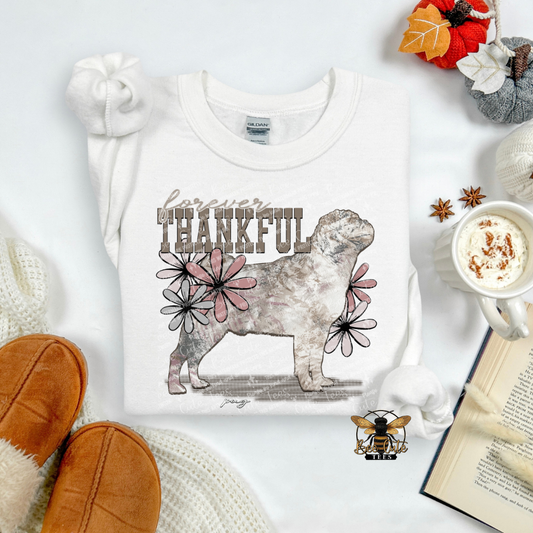 Forever Thankful Pug