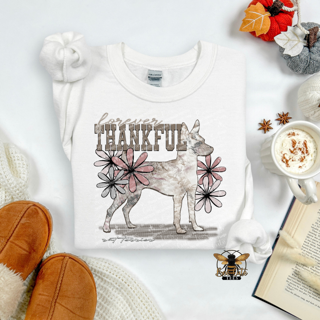 Forever Thankful Rat Terrier