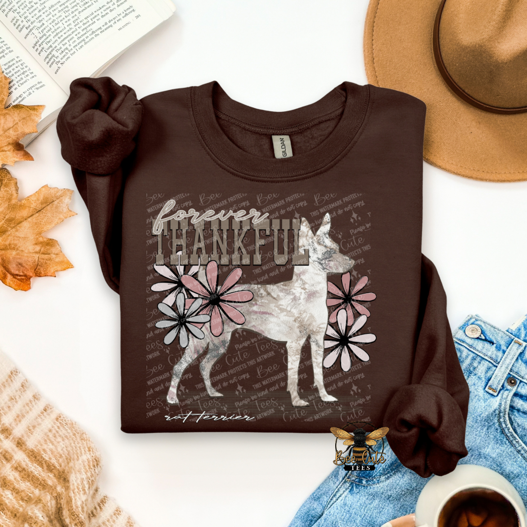 Forever Thankful Rat Terrier