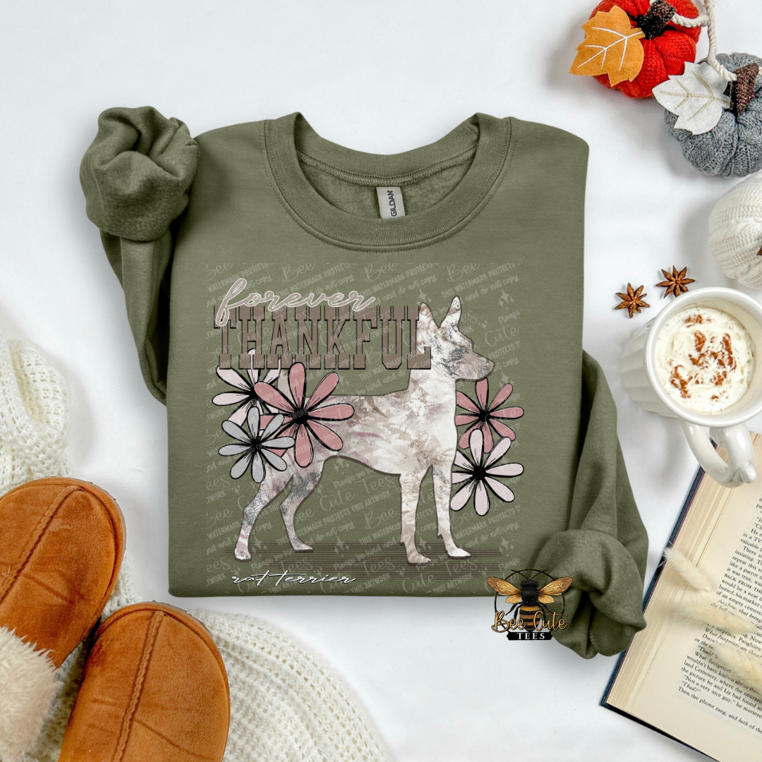 Forever Thankful Rat Terrier