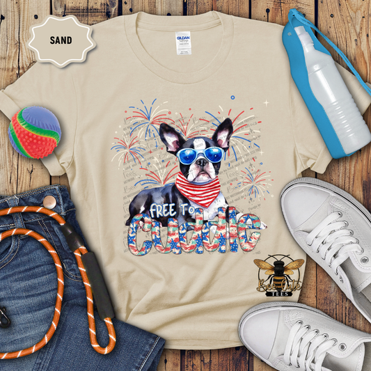 Free To Cuddle Boston Terrier