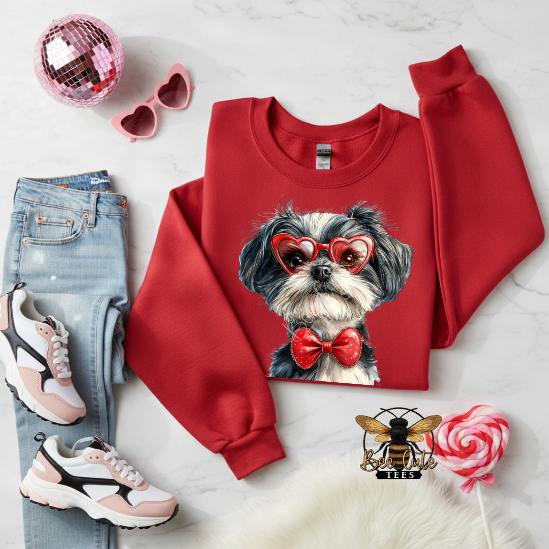 Clear Sunnies Havanese