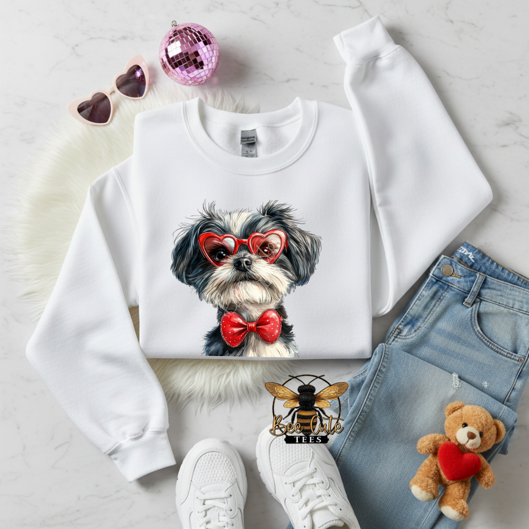 Clear Sunnies Havanese