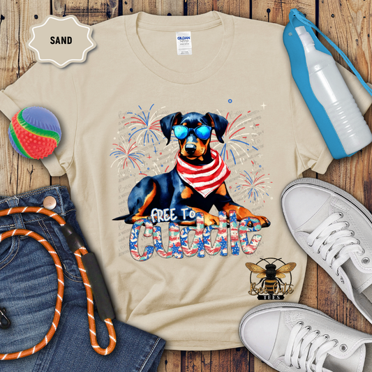 Free To Cuddle Doberman
