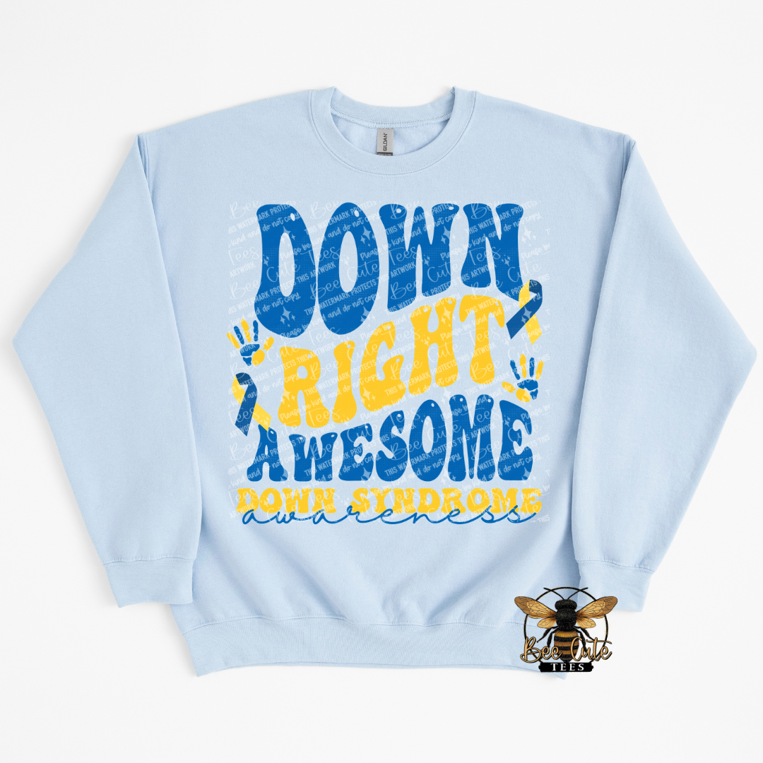 Light blue sweatshirt with 'Down Right Awesome Down Syndrome' text on a white background