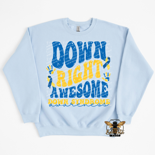 Light blue sweatshirt with 'Down Right Awesome Down Syndrome' text on a white background