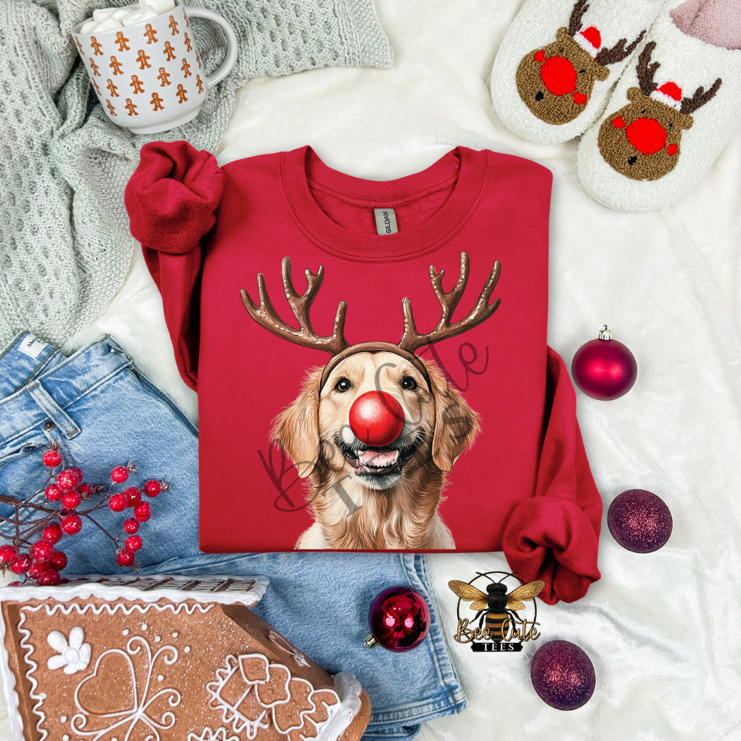 Golden Retriever Christmas