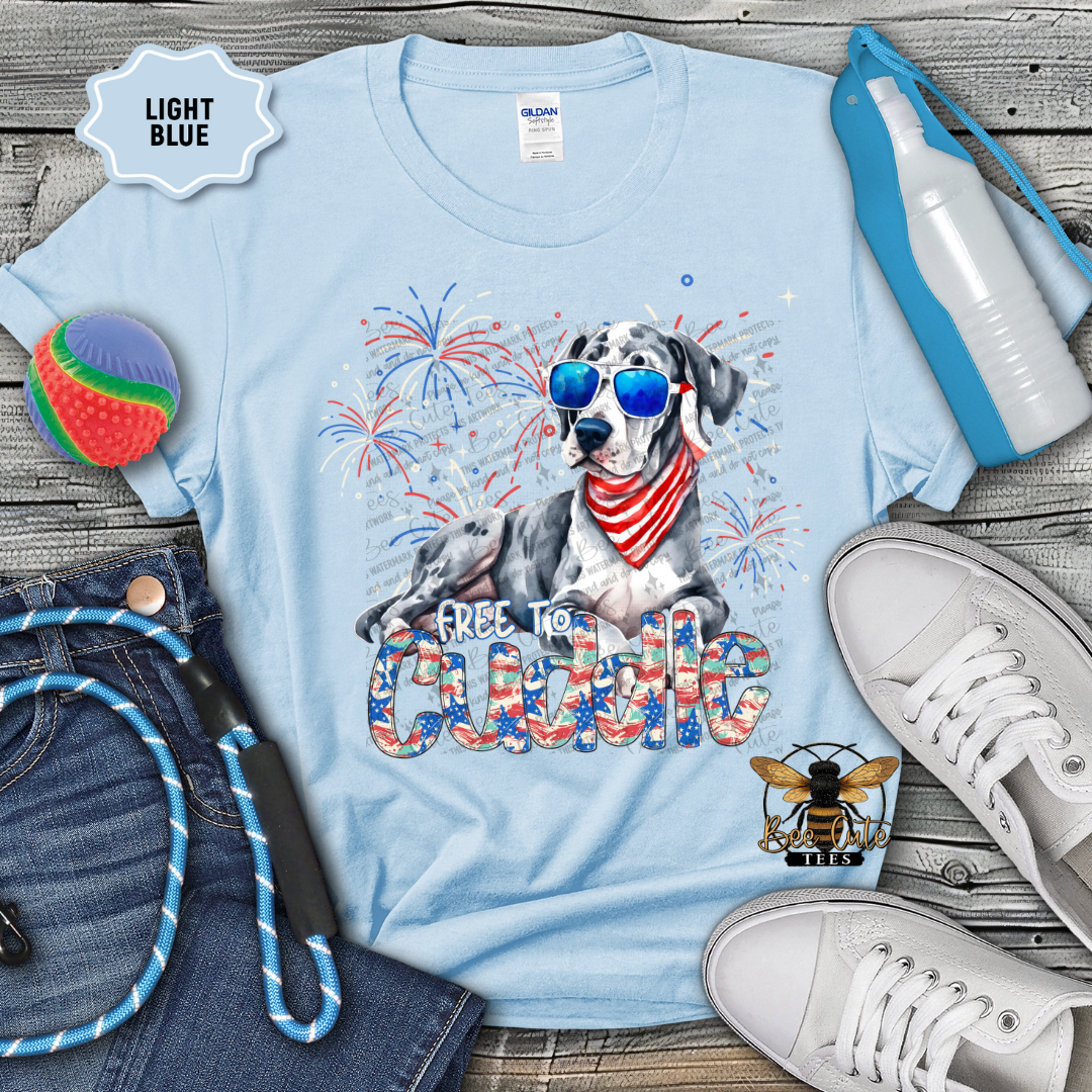 Light blue t-shirt with a dog graphic and text, surrounded by casual items on a wooden surface.