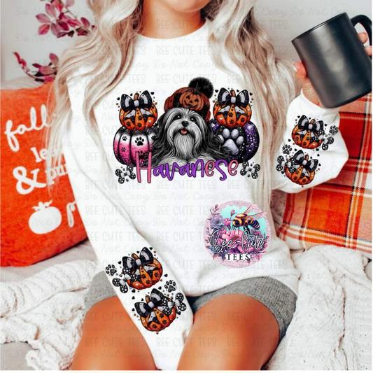 Havanese Halloween Dog