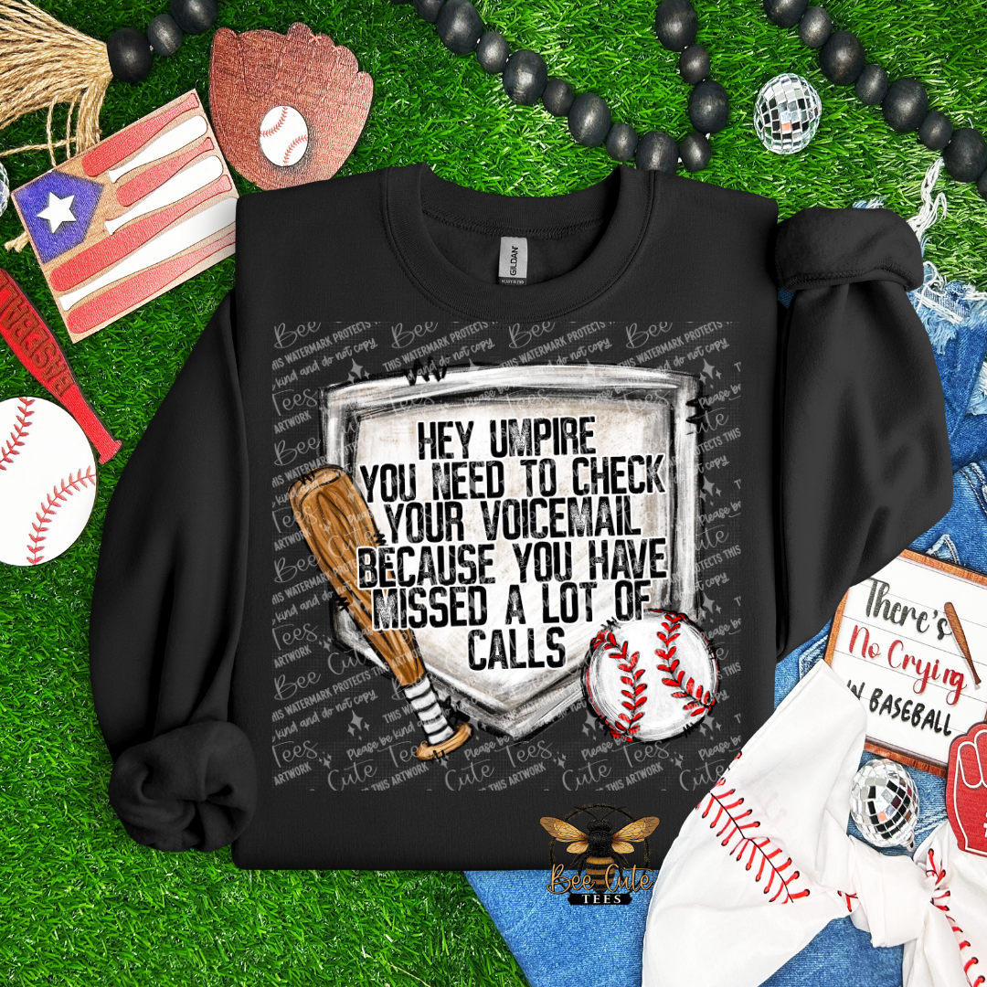 Black sweatshirt with a humorous design on a grass background with sports-themed items.