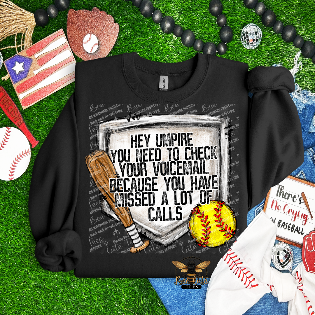 Black sweatshirt with sports-themed graphic and text on a grass background with sports memorabilia.