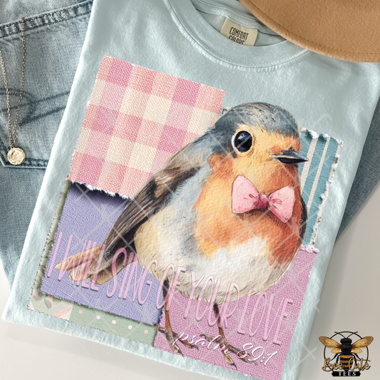 T-shirt with a robin design and text on a denim background