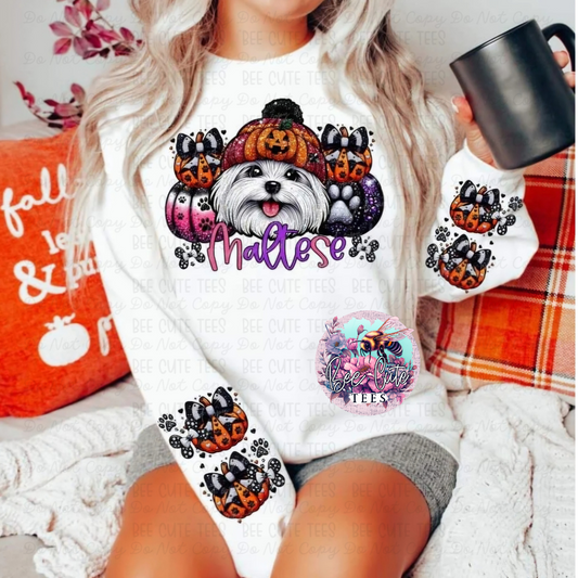 Maltese Halloween Dog