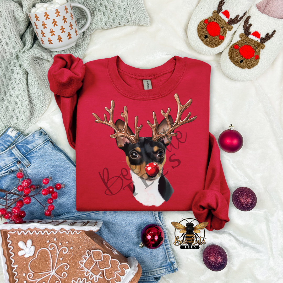 Rat Terrier Christmas