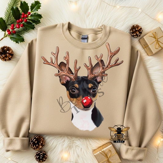 Rat Terrier Christmas