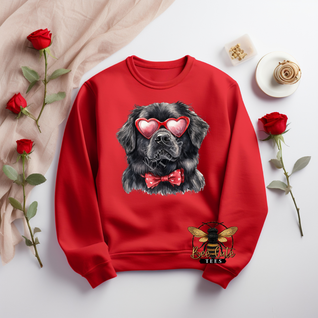 Red Sunnies Newfoundland