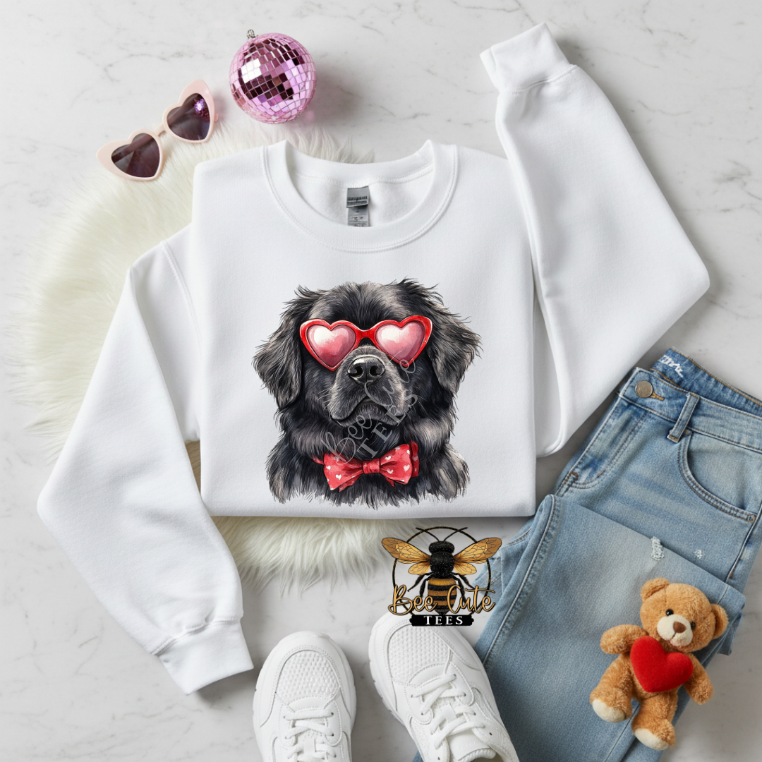 Red Sunnies Newfoundland