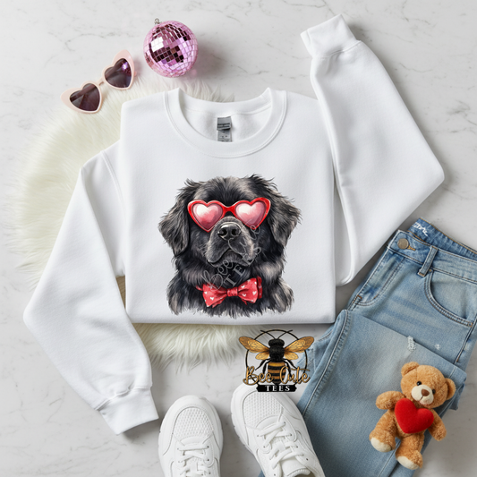 Red Sunnies Newfoundland