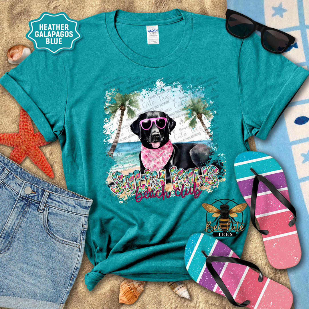 Teal t-shirt with a dog graphic and 'Summer Paws Beach Club' text, surrounded by beach accessories.