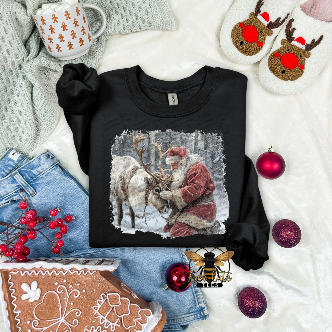 Santa & Reindeer