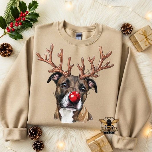 Staffordshire Terrier Christmas