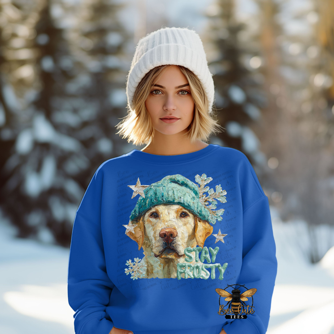 Person wearing a blue sweatshirt with a dog graphic and 'Stay Frosty' text in a snowy landscape.