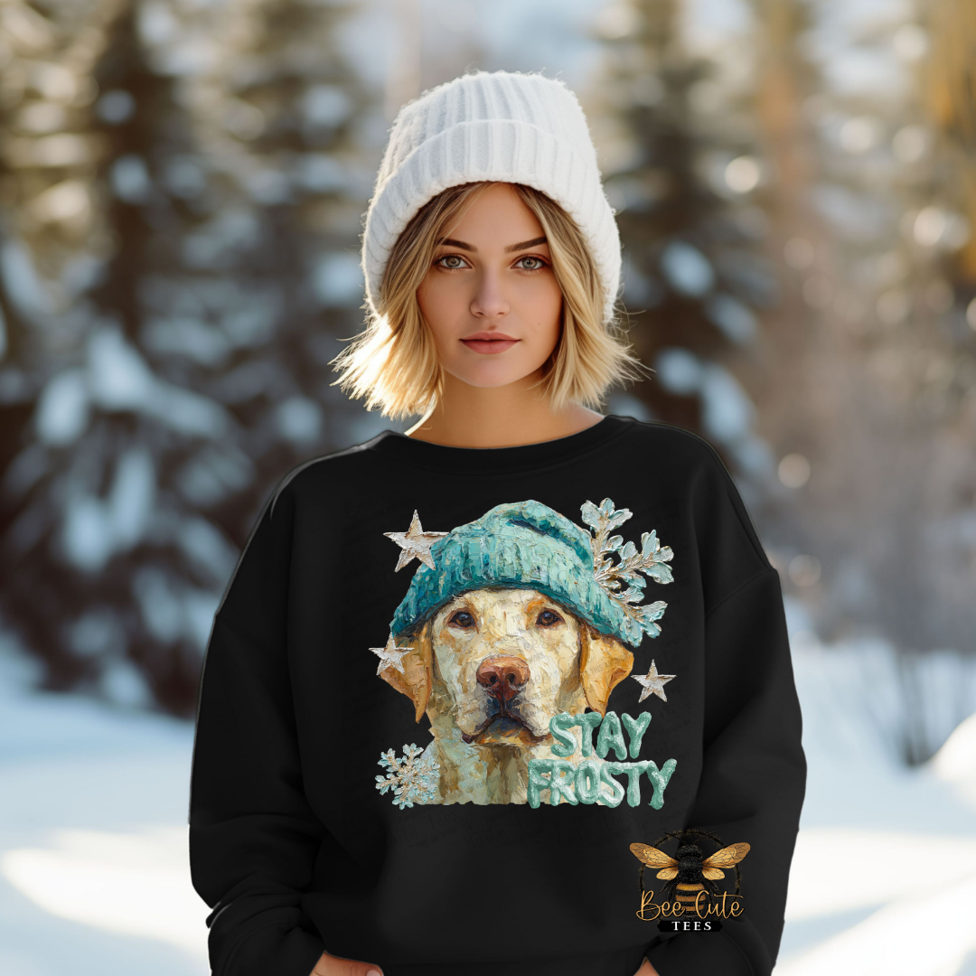 Person wearing a black sweatshirt with a dog graphic and 'Stay Frosty' text in a snowy landscape.