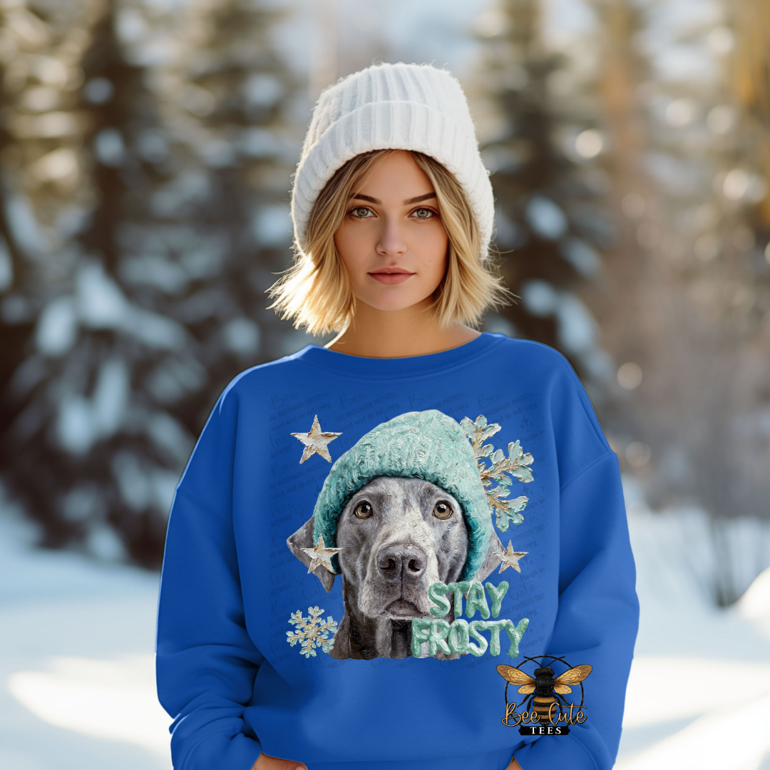 Person wearing a blue sweater with a dog graphic and 'Stay Frosty' text in a snowy landscape.