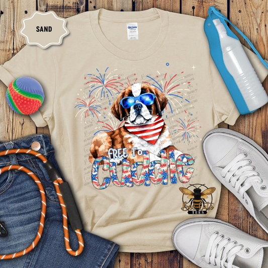 Free To Cuddle St. Bernard