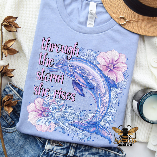 Through The Storm Dolphin