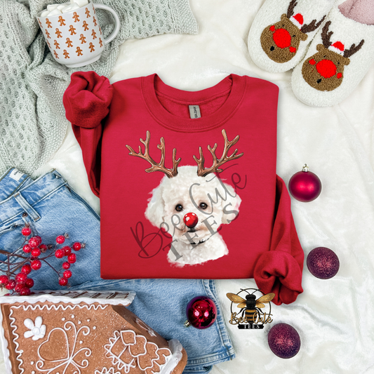 Toy Poodle Christmas