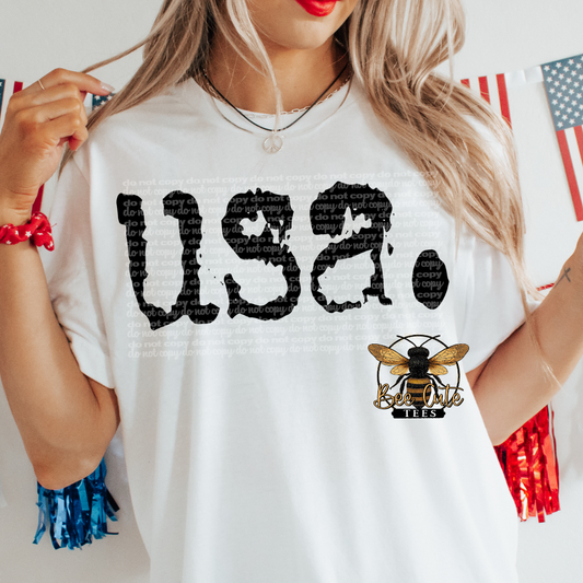 USA Typography