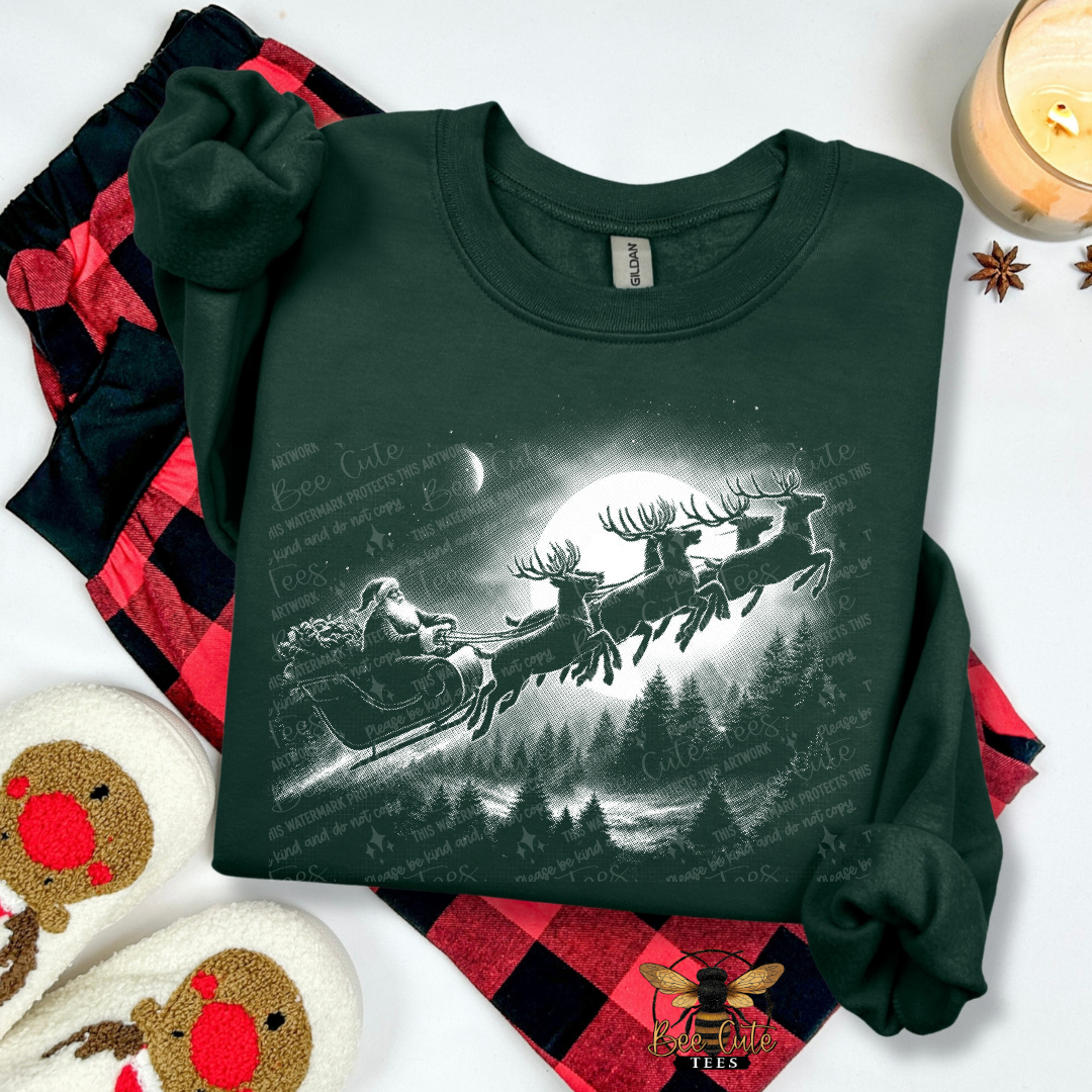 Vintage Santa Sleigh