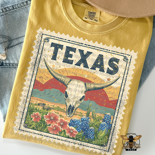 Vintage Texas Stamp