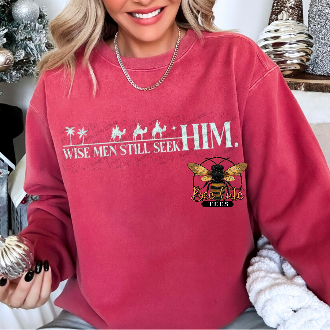 Wise Men Still Seek Him